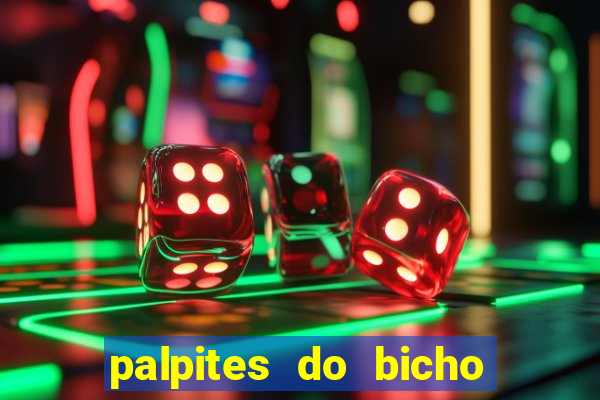 palpites do bicho no celular